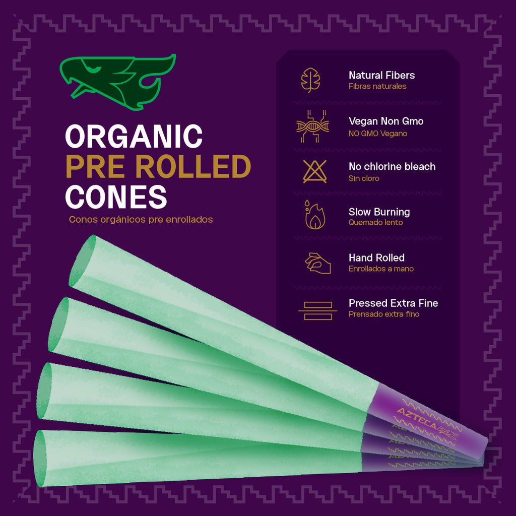 50 conos King Size Azteca Blaze